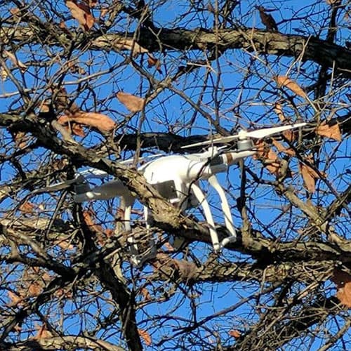 Drone die vast zit in een boom